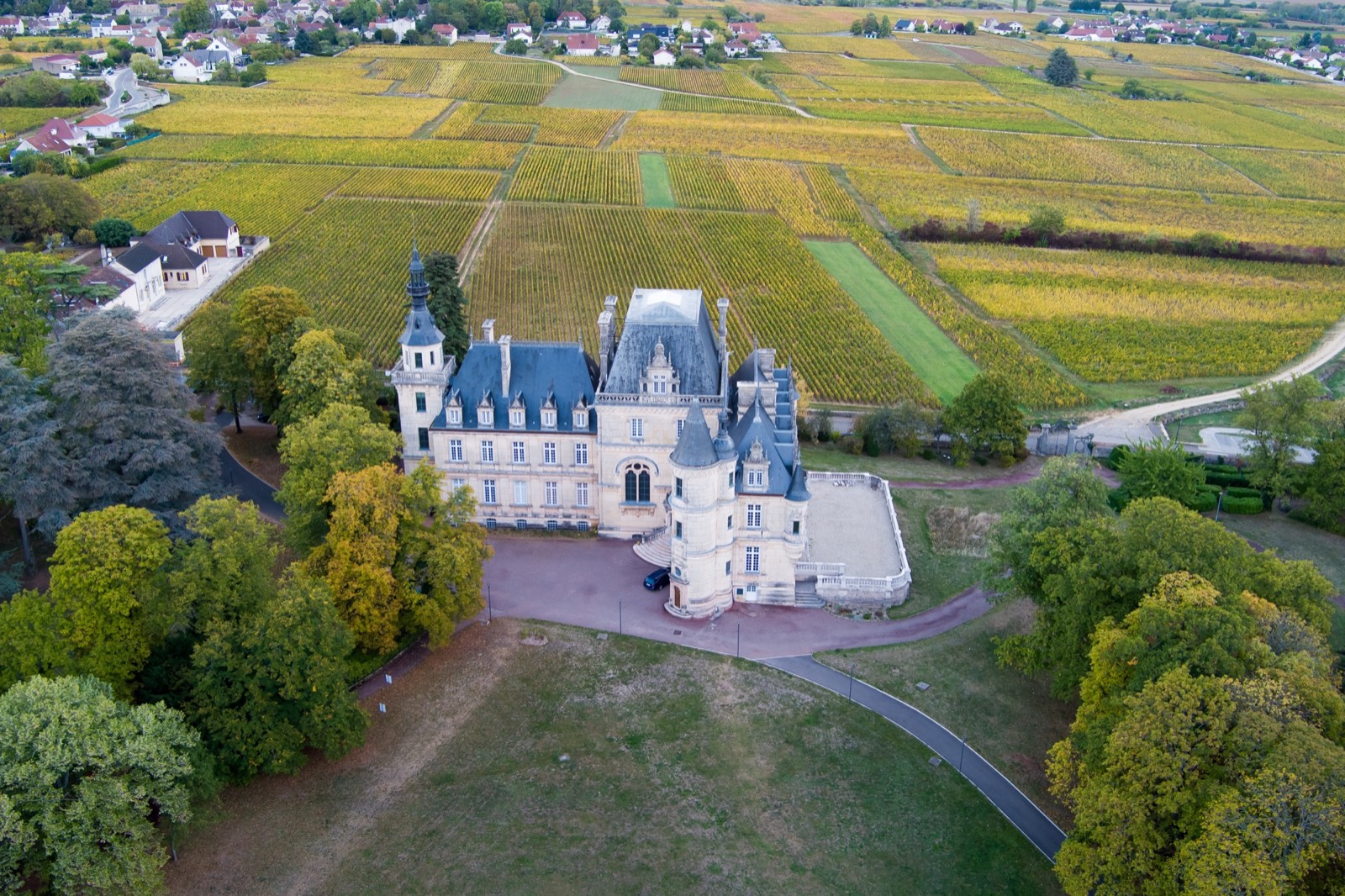 Aerial view of a château surrounded by vineyards
